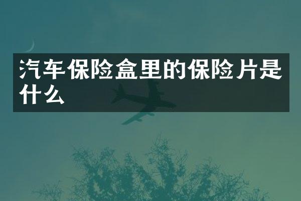 汽车保险盒里的保险片是什么