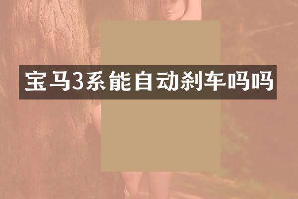 宝马3系能自动刹车吗吗