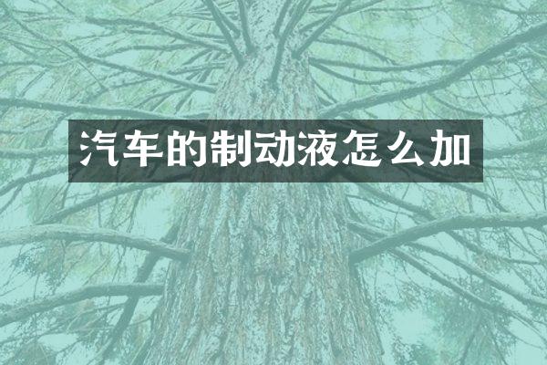 汽车的制动液怎么加