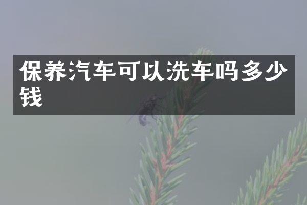 保养汽车可以洗车吗多少钱