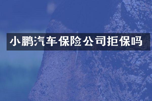 小鹏汽车保险公司拒保吗