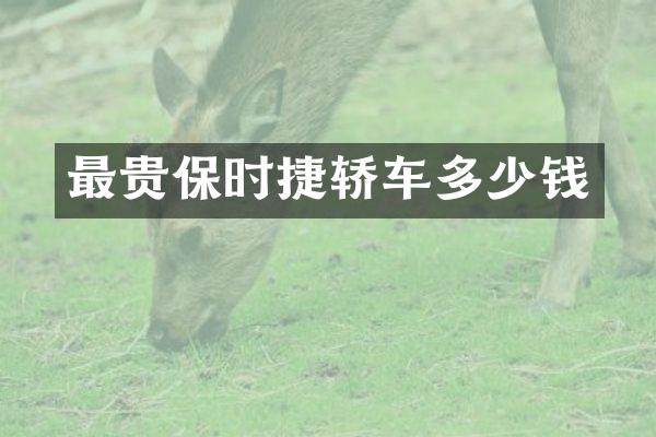 最贵保时捷轿车多少钱