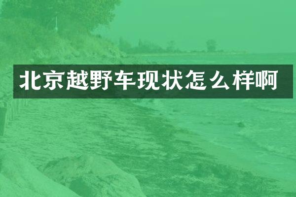 北京越野车现状怎么样啊