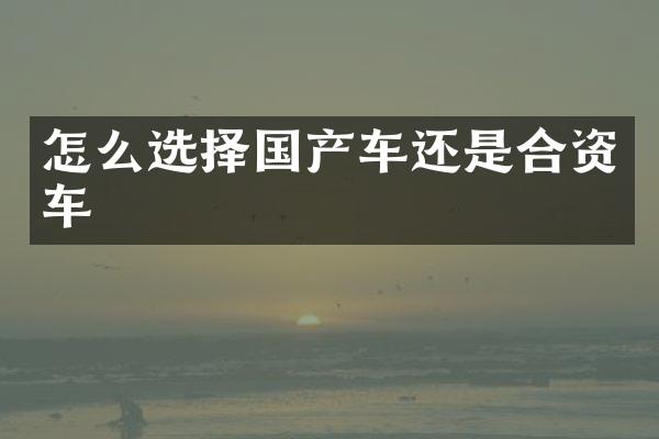 怎么选择国产车还是合资车