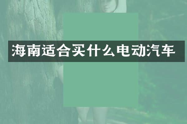 海南适合买什么电动汽车