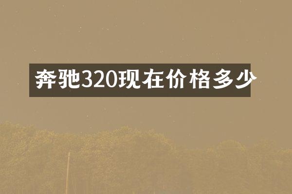 奔驰320现在价格多少