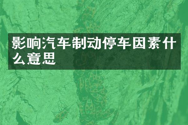 影响汽车制动停车因素什么意思