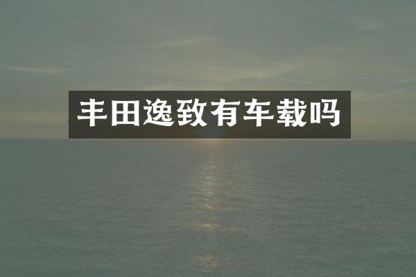 丰田逸致有车载吗