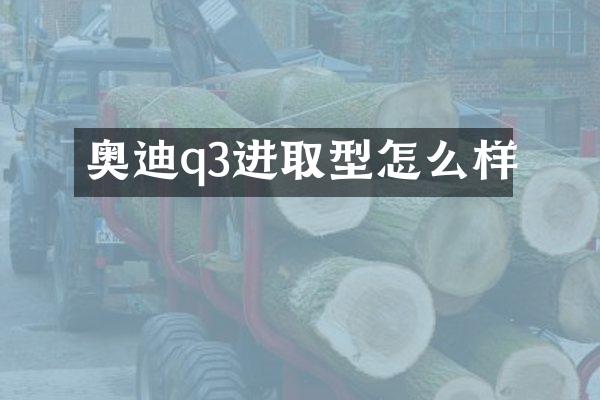 奥迪q3进取型怎么样