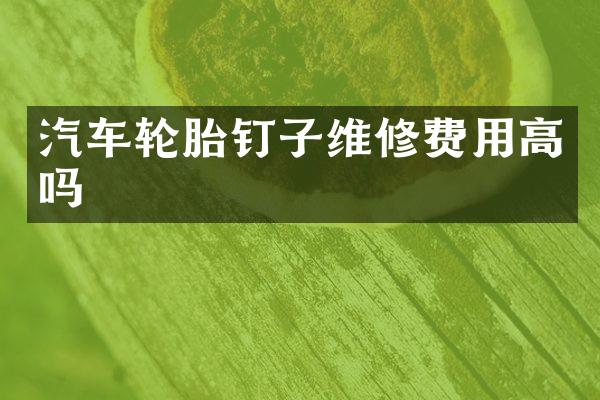 汽车轮胎钉子维修费用高吗