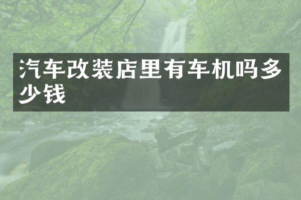 汽车改装店里有车机吗多少钱