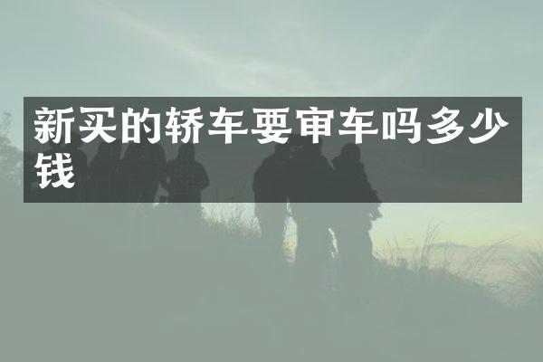 新买的轿车要审车吗多少钱
