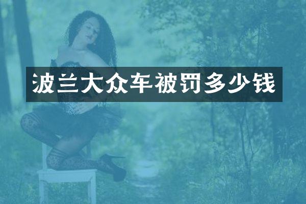 波兰大众车被罚多少钱