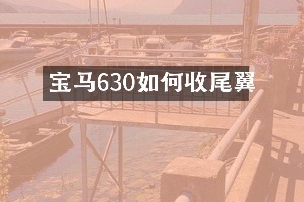 宝马630如何收尾翼
