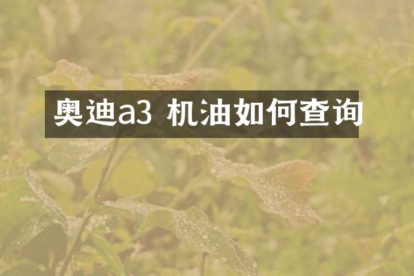 奥迪a3 机油如何查询