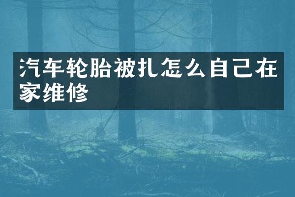 汽车轮胎被扎怎么自己在家维修