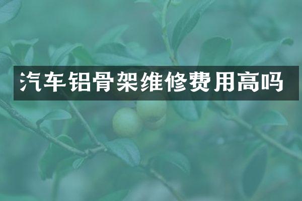 汽车铝骨架维修费用高吗