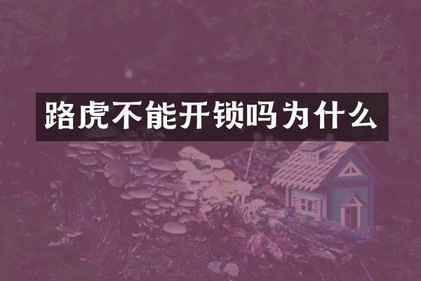 路虎不能开锁吗为什么