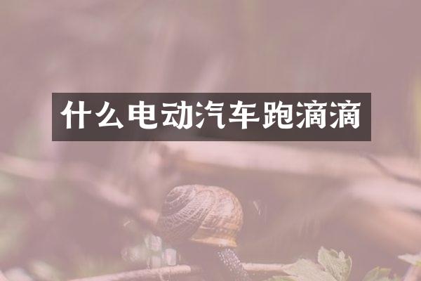 什么电动汽车跑滴滴