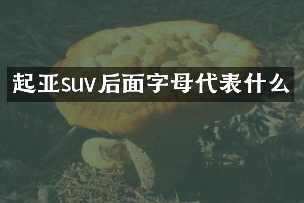 起亚suv后面字母代表什么