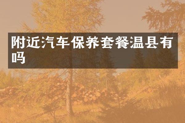 附近汽车保养套餐温县有吗