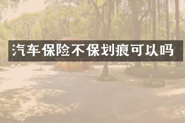 汽车保险不保划痕可以吗