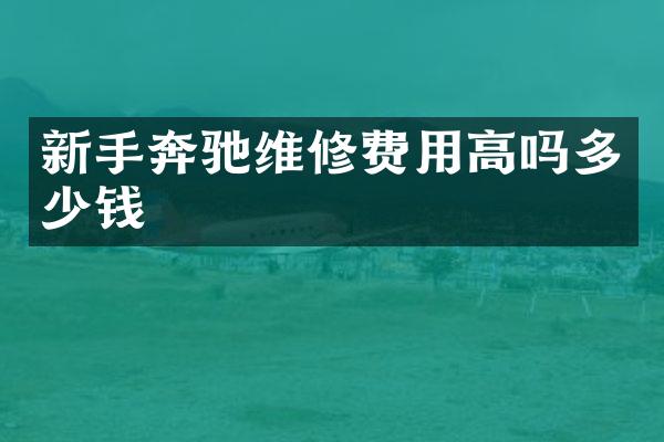 新手奔驰维修费用高吗多少钱