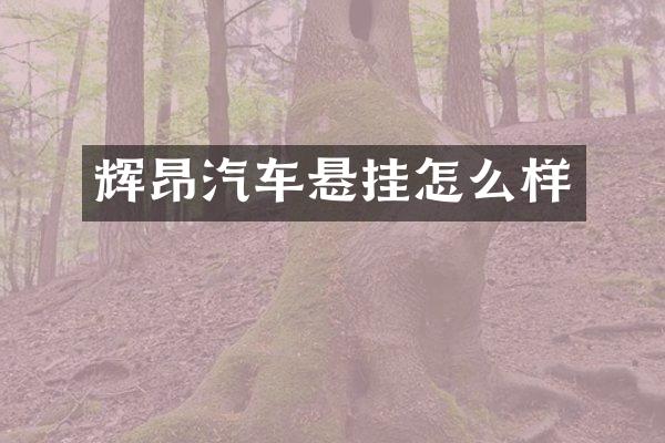 辉昂汽车悬挂怎么样