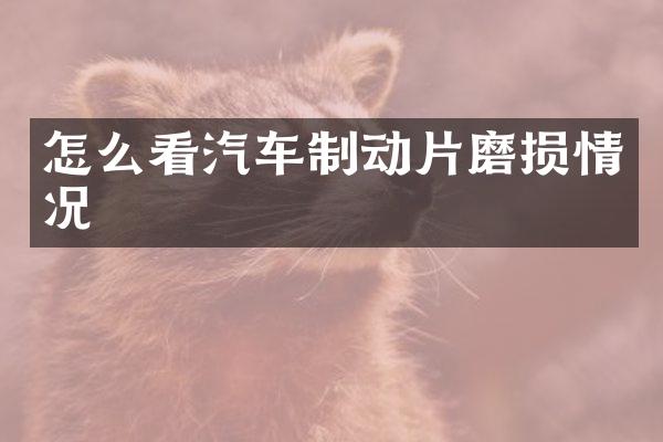 怎么看汽车制动片磨损情况