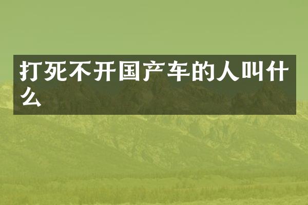 打死不开国产车的人叫什么