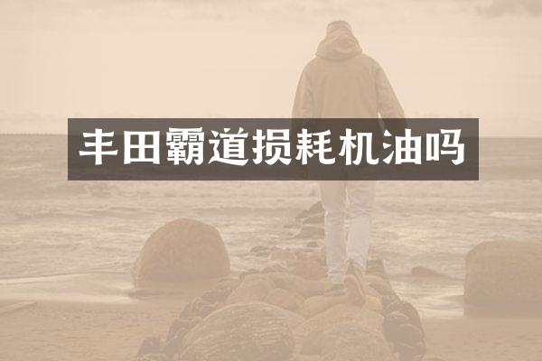 丰田霸道损耗机油吗