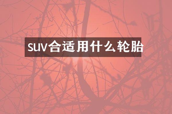 suv合适用什么轮胎