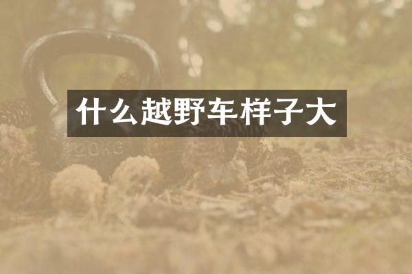 什么越野车样子大