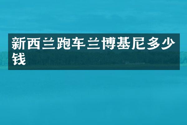 新西兰跑车兰博基尼多少钱