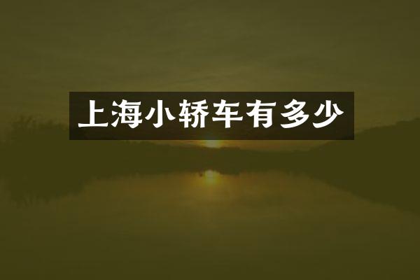 上海小轿车有多少