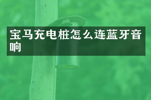 宝马充电桩怎么连蓝牙音响