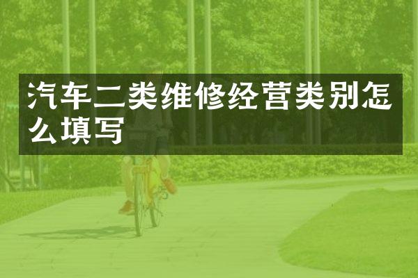 汽车二类维修经营类别怎么填写