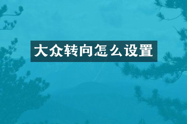 大众转向怎么设置