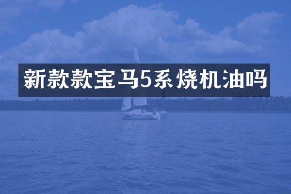 新款款宝马5系烧机油吗