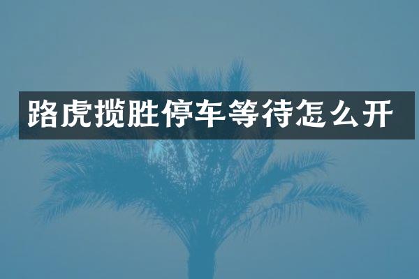 路虎揽胜停车等待怎么开