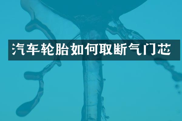 汽车轮胎如何取断气门芯