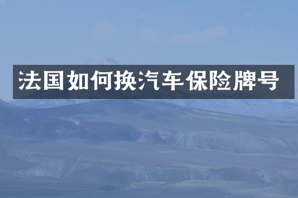 法国如何换汽车保险牌号