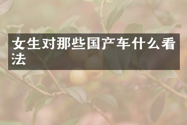女生对那些国产车什么看法