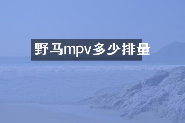 野马mpv多少排量