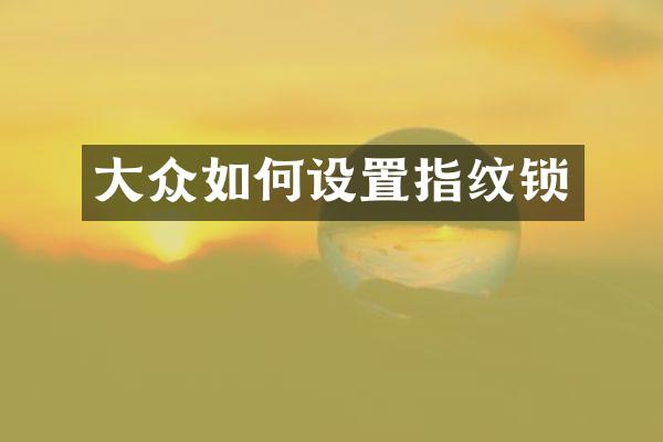 大众如何设置指纹锁