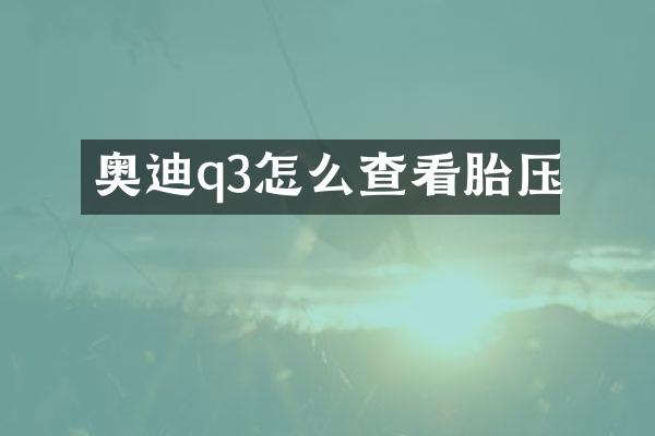 奥迪q3怎么查看胎压