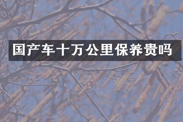 国产车十万公里保养贵吗