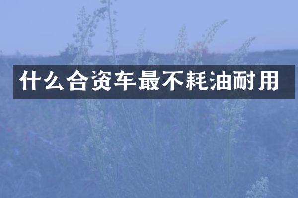 什么合资车最不耗油耐用