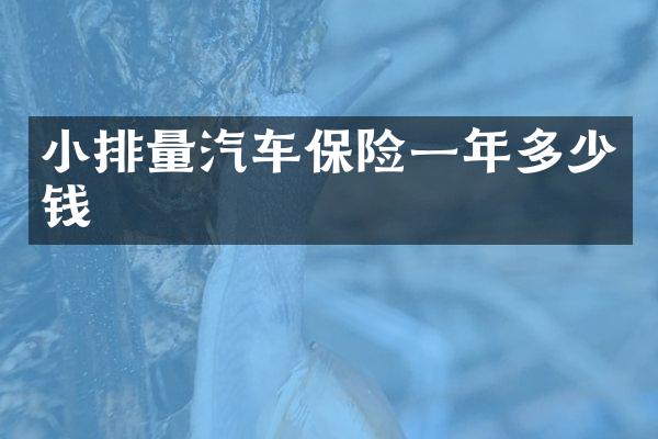 小排量汽车保险一年多少钱
