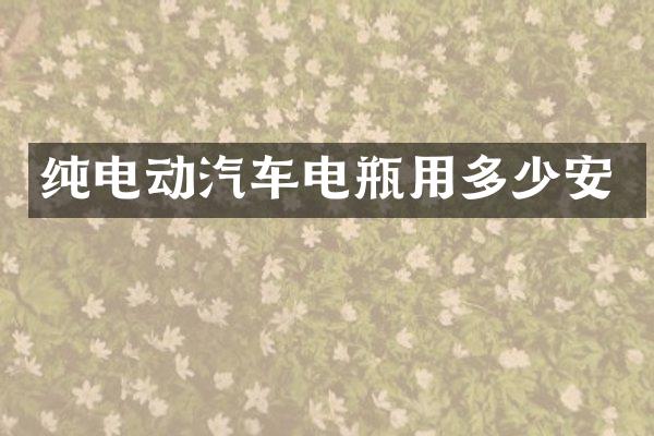 纯电动汽车电瓶用多少安
